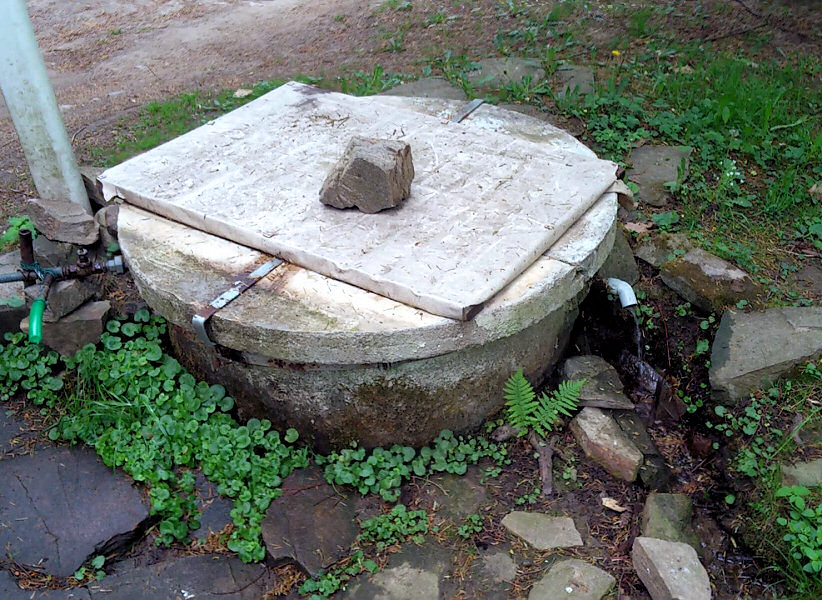 studánka bez jména (1969) - září 2009