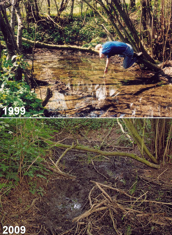 Měňanská vyvěračka (1983) - říjen 2009