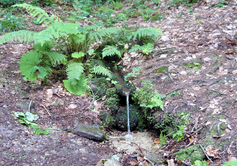 Záhradištní studánka (1995) - říjen 2009