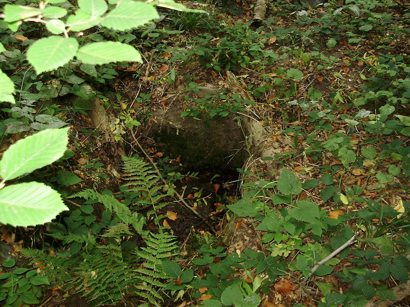 pramen Skokova bouda (2003) - říjen 2009