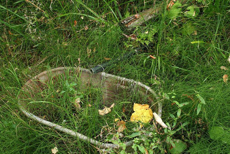 prameniště U Ondrášů (2005) - říjen 2009