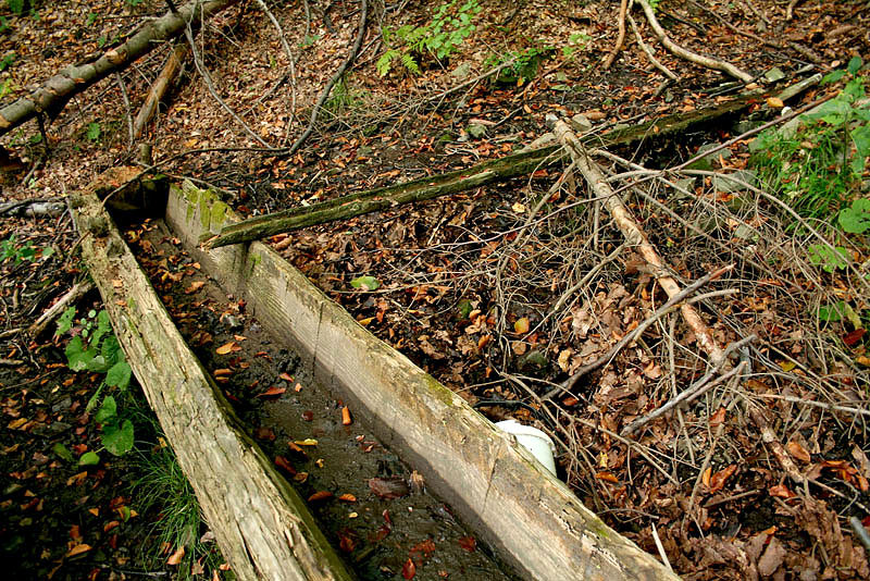 pramen Nad Losovým (2006) - říjen 2009