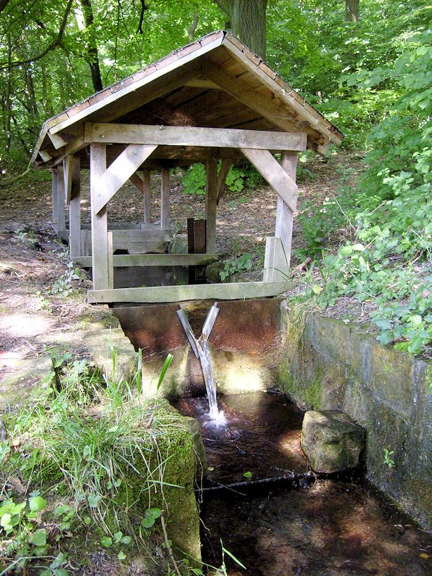 studánka Dereznice (2008) - datum neznámé