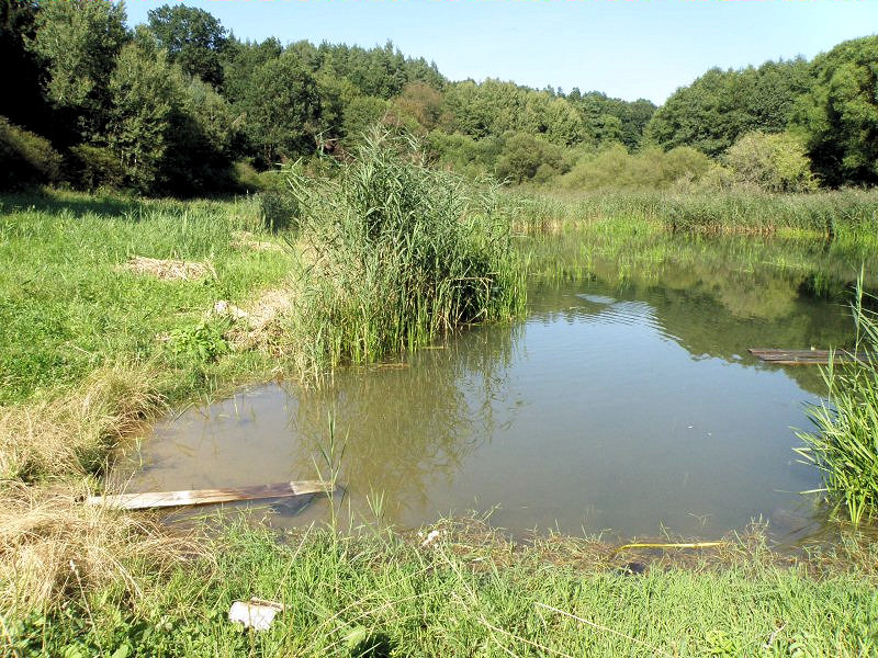 pramen bez jména (2012) - říjen 2009