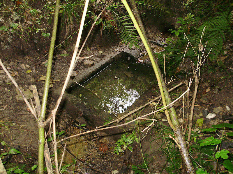 studánka Pod Habeší (2031) - říjen 2009