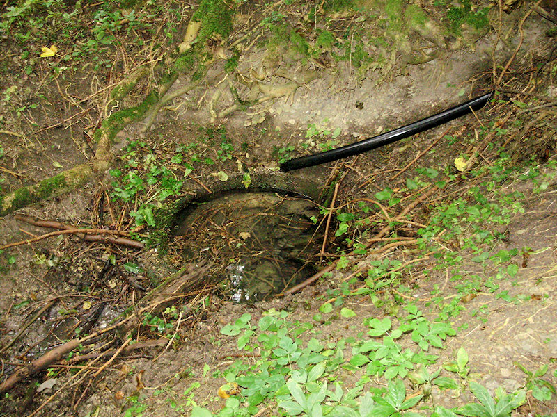 pramen Nad rochništěm (2033) - říjen 2009