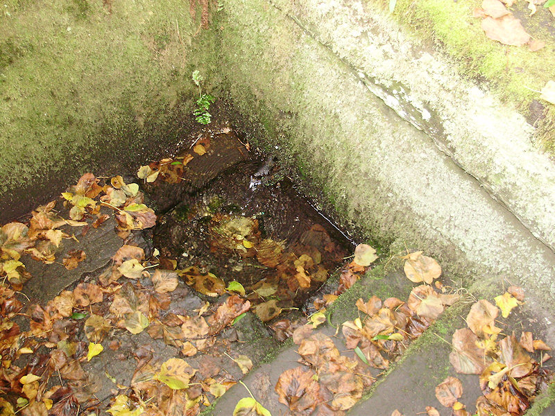 studánka U panny Marie (2037) - říjen 2009