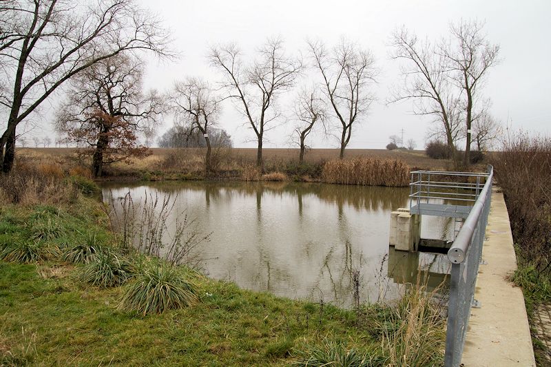 Prameniště Karlického potoka (2042) - říjen 2009