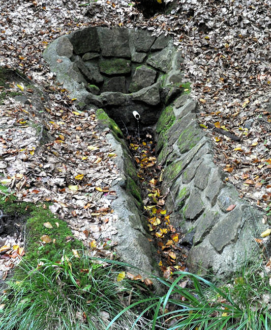 studánka Kamenné potoky I (2067) - říjen 2009