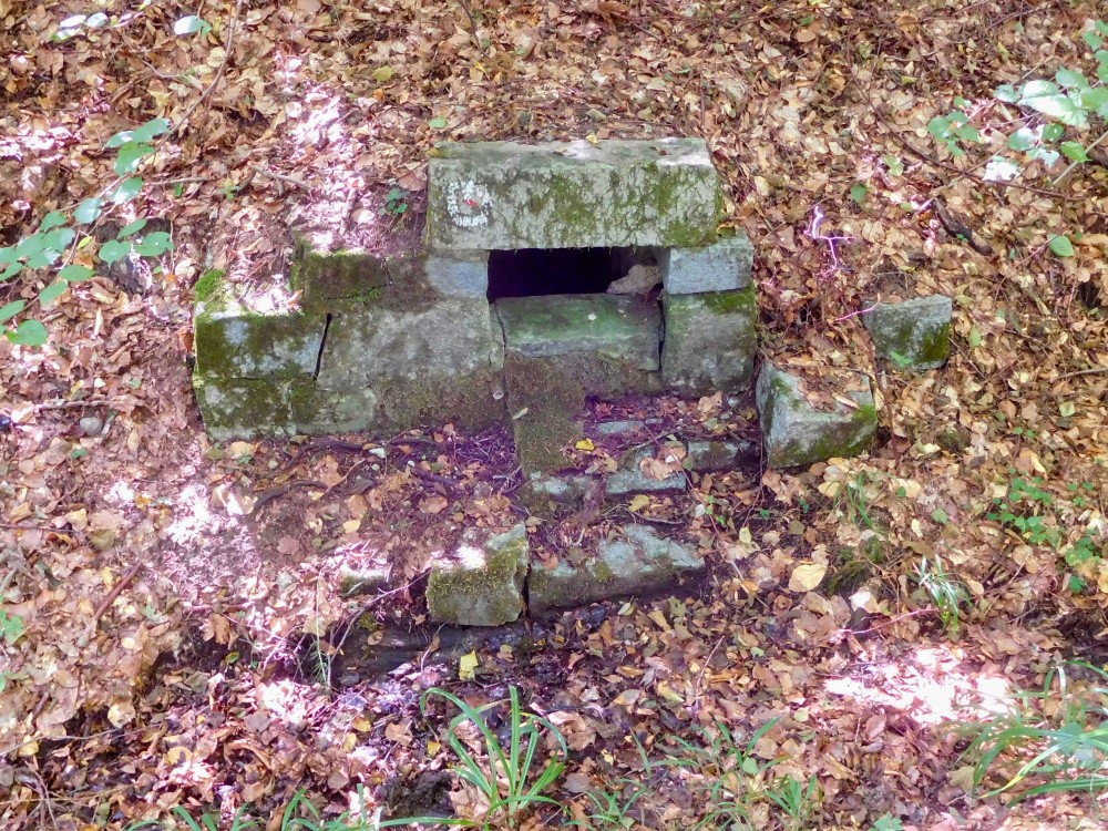 studánka Nad Pilou (2068) - srpen 2024