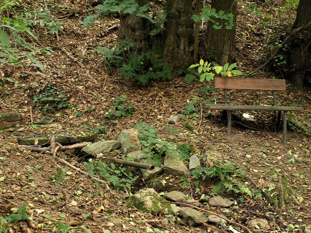 studánka bez jména (2091) - říjen 2009