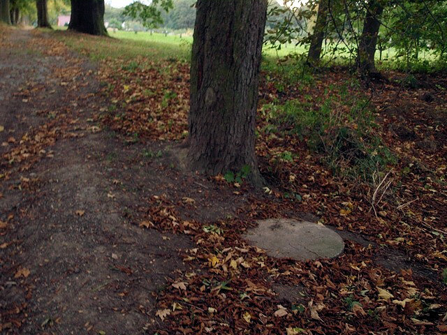 studánka bez jména (2094) - říjen 2009