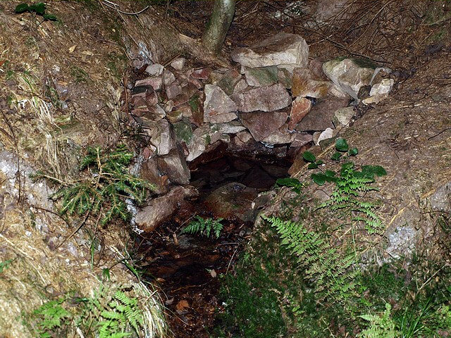 studánka bez jména (2098) - říjen 2009