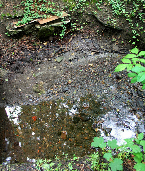 studánka U viaduktu (2107) - říjen 2009