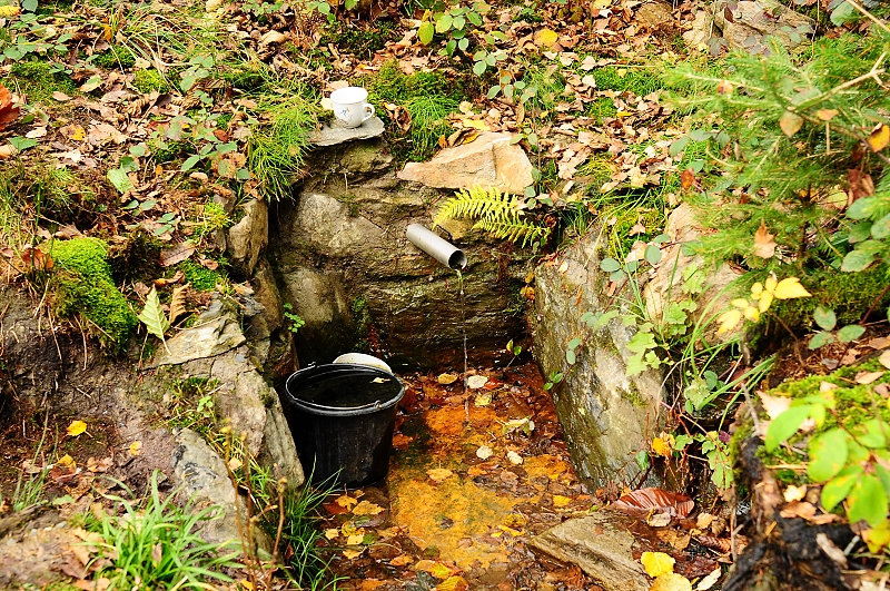 Lesní studánka (2121) - datum neznámé
