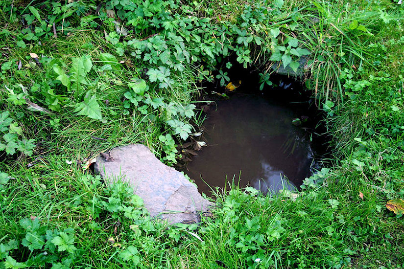 studánka bez jména (2127) - říjen 2009