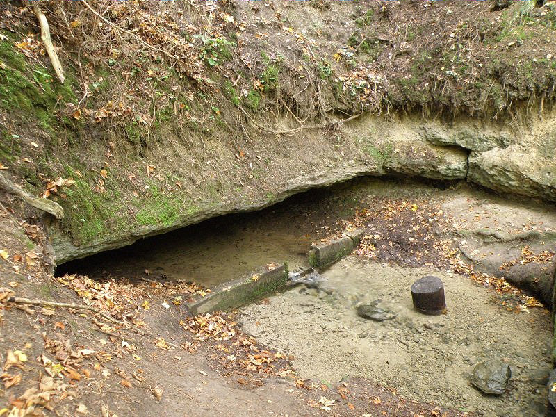vyvěračka Bartošova Pec (2136) - říjen 2009