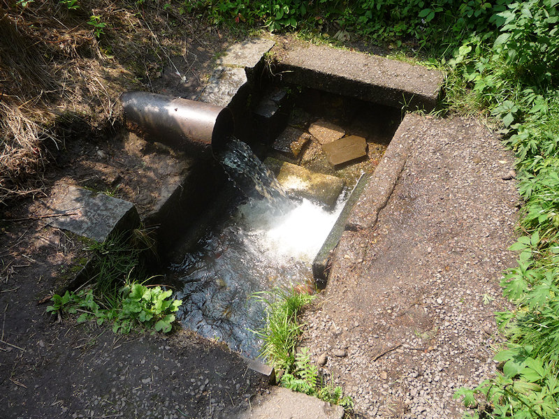 jiný vodní zdroj bez jména (2152) - říjen 2009