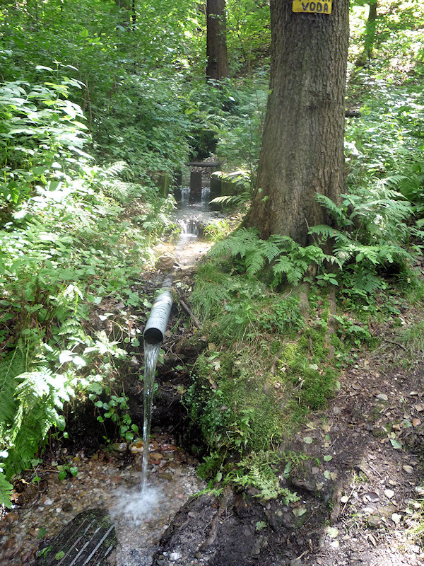 studánka bez jména (2154) - říjen 2009