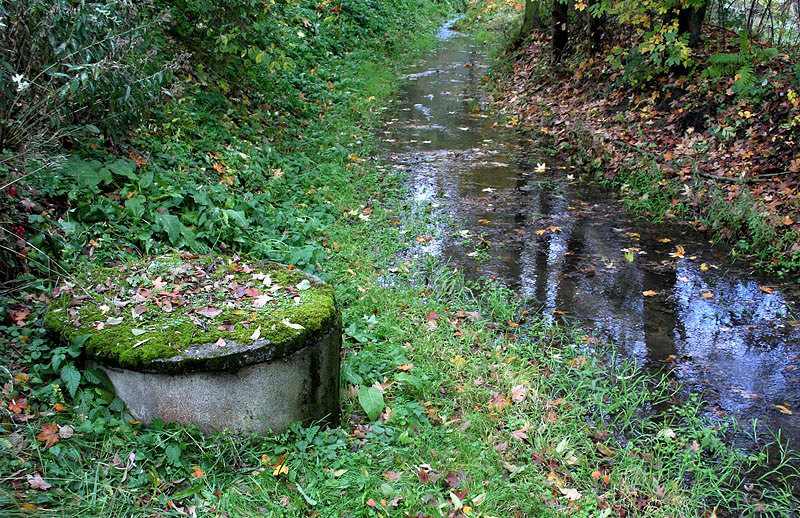 Studna v náhonu (2164) - říjen 2009
