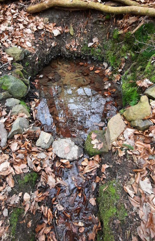 studánka bez jména (2168) - únor 2022