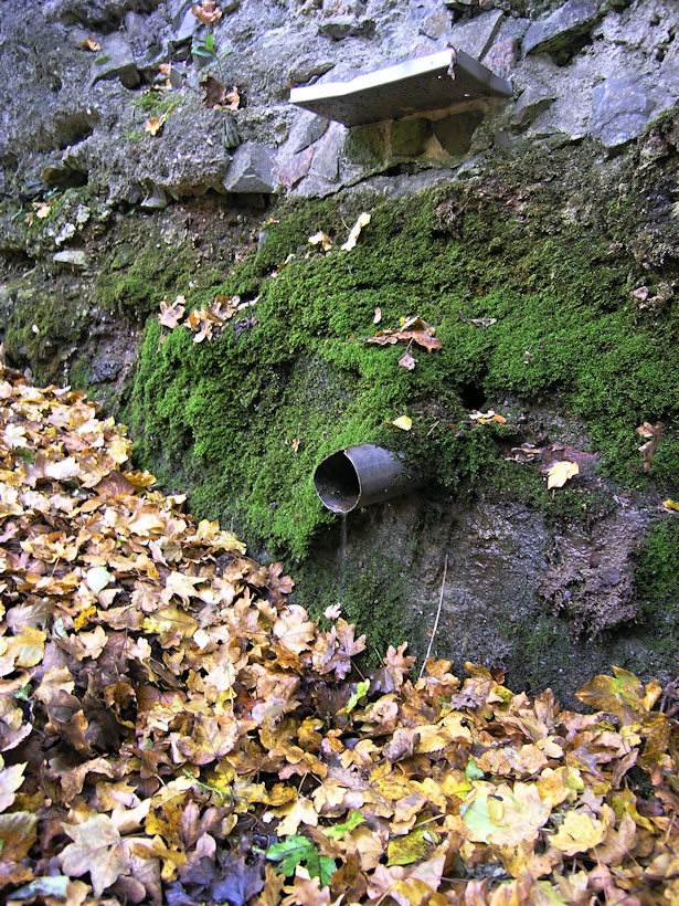 studánka bez jména (2174) - říjen 2009