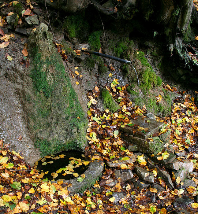 pramen Prlovská voda (2190) - říjen 2009