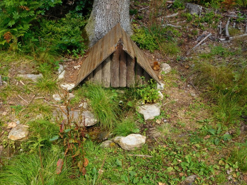 Lesní studánka (2227) - srpen 2023