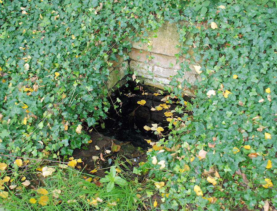 Ctěnická studánka (2252) - listopad 2009