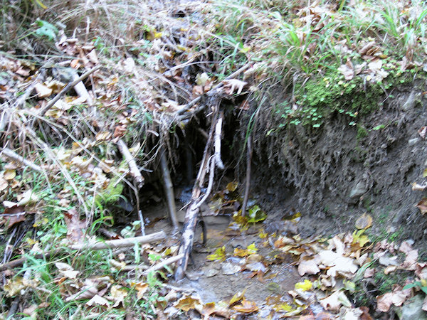prameniště Potůčky (2258) - listopad 2009