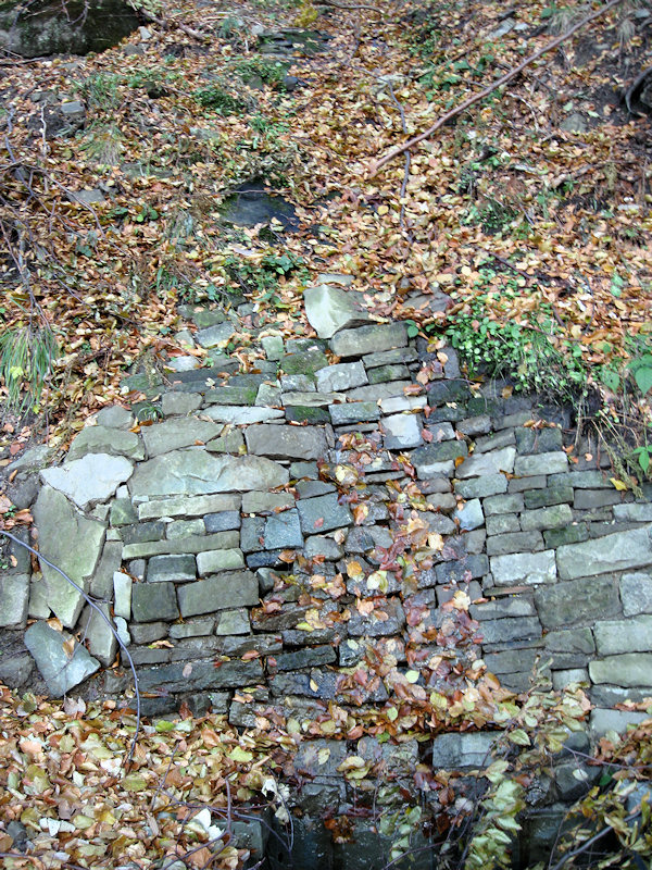 prameniště Bučník (2280) - listopad 2009