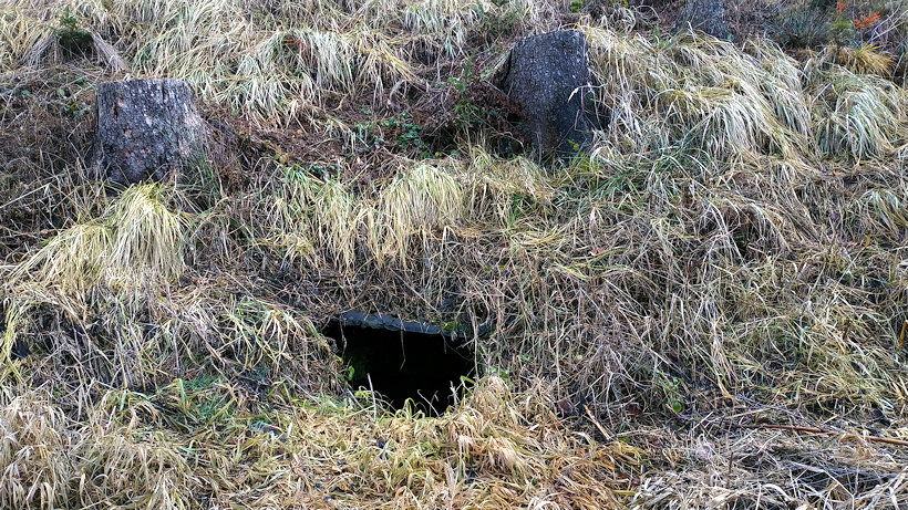 studánka U Syrovského mostu (2288) - datum neznámé