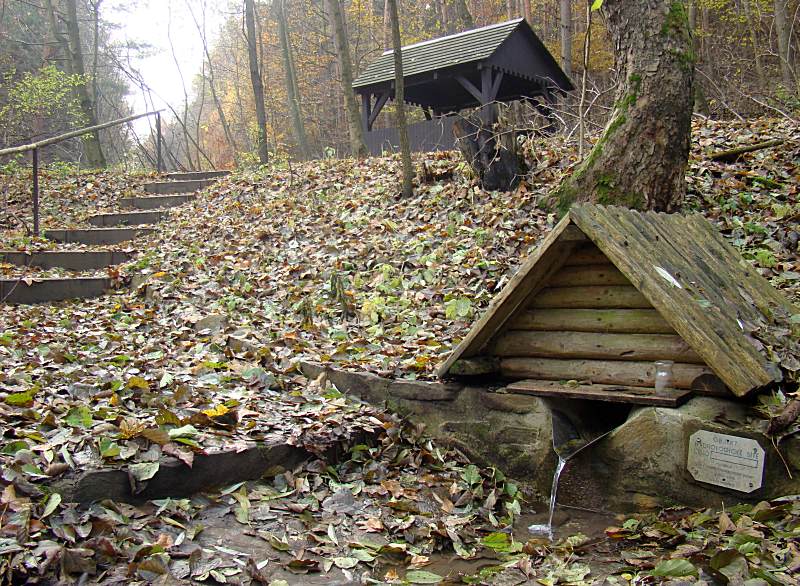 studánka U Kolomaznice (2294) - listopad 2009
