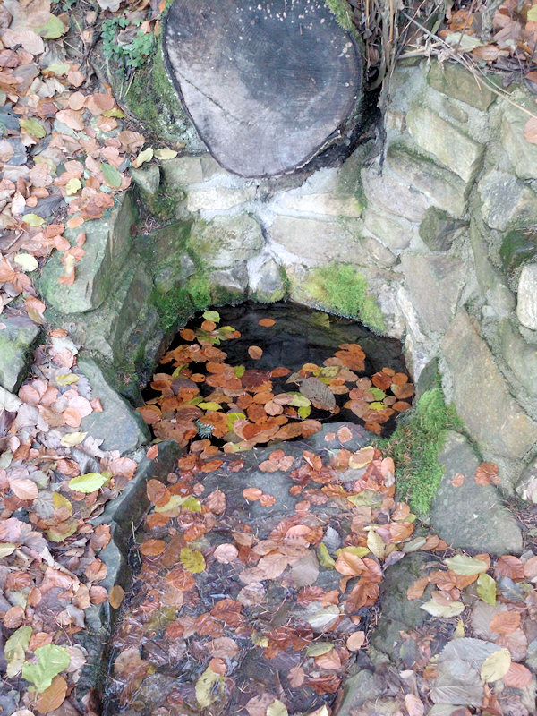 studánka U Rocha (2295) - listopad 2009