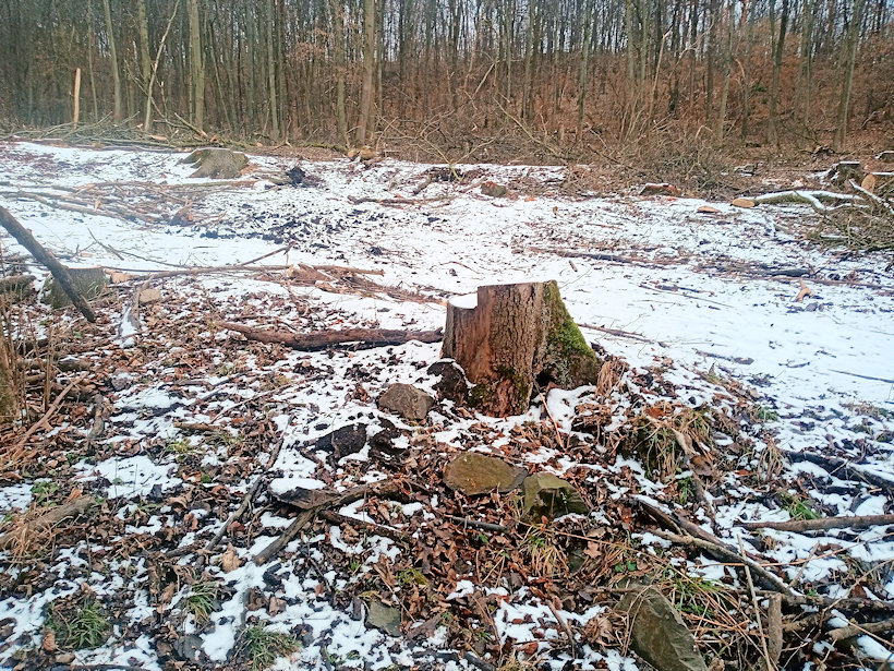 prameniště Skřipov (2337) - leden 2022