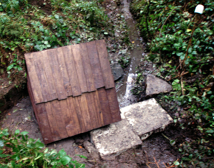 studánka Na Kamenném (2351) - listopad 2009