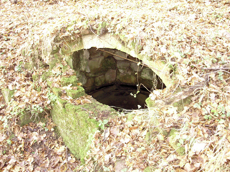 Studánka sv.Jana (2358) - listopad 2009