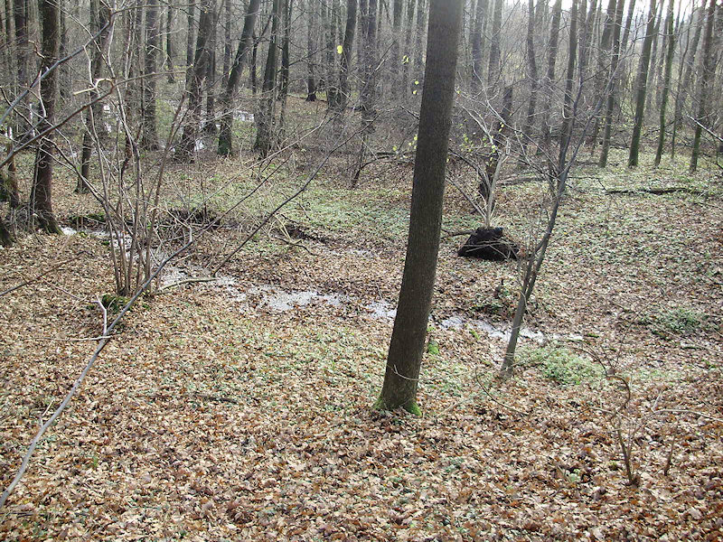 prameniště U Olší (2359) - listopad 2009