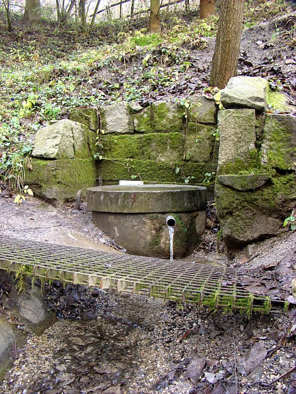 studánka Zdravá voda (2374) - říjen 2023