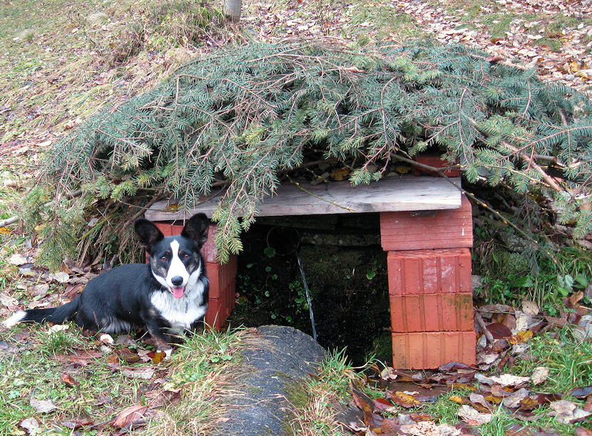 studánka U Burešové (2376) - listopad 2009