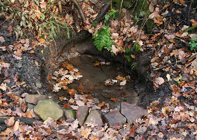 studánka V Makytí (2397) - prosinec 2009