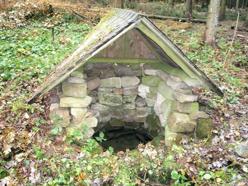 studánka Spálenisko (2409) - prosinec 2009