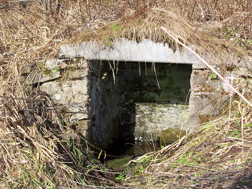 studánka Skalíková louka (2419) - prosinec 2009