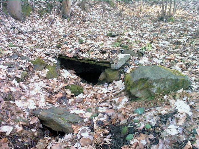 studánka Blatná hráz (2424) - prosinec 2009