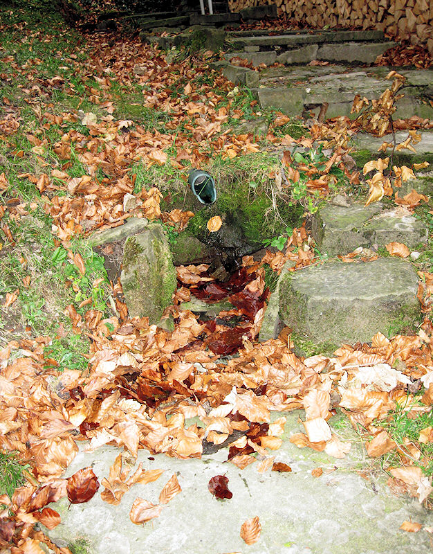 pramen U Hladké (2431) - prosinec 2009