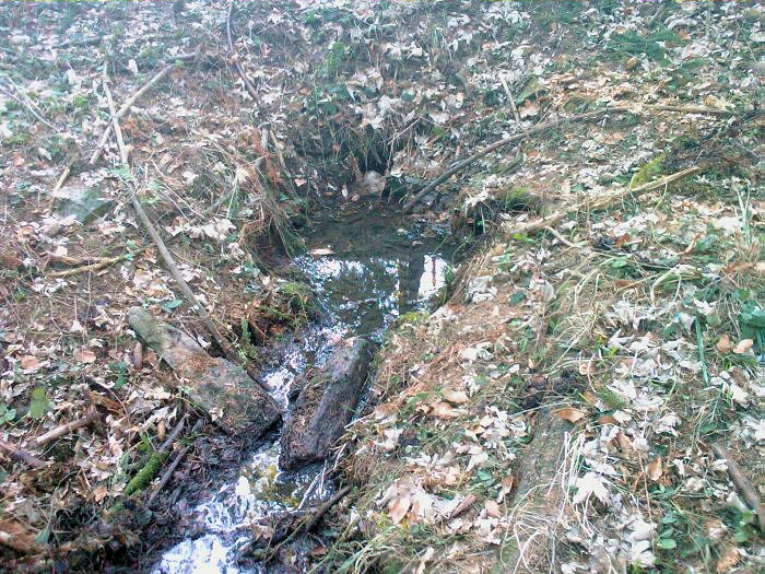 studánka bez jména (2438) - prosinec 2009