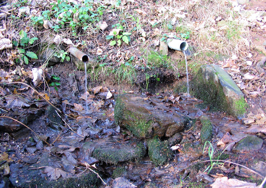 studánka U Stráže (2447) - prosinec 2009