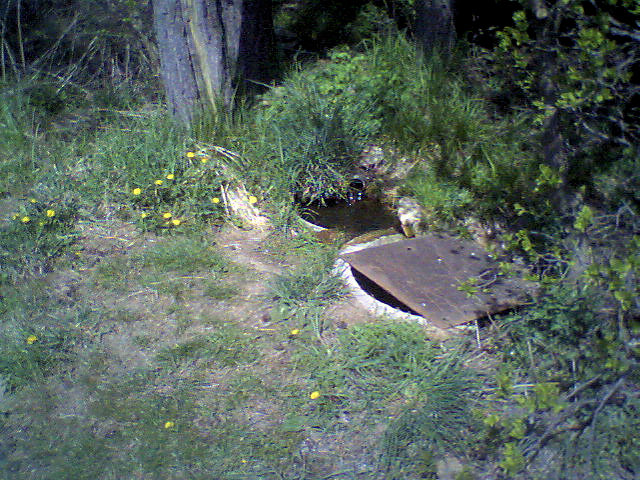 studánka Nová Ves - Podhájí (2453) - prosinec 2009