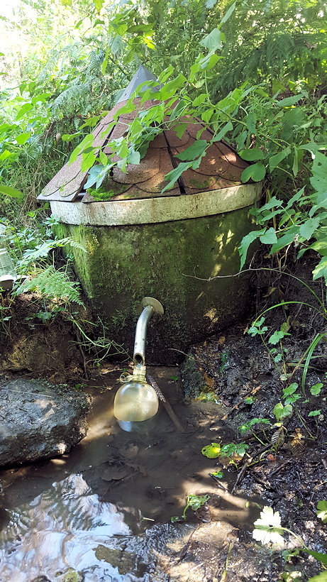 studánka Stařeč (2462) - září 2019