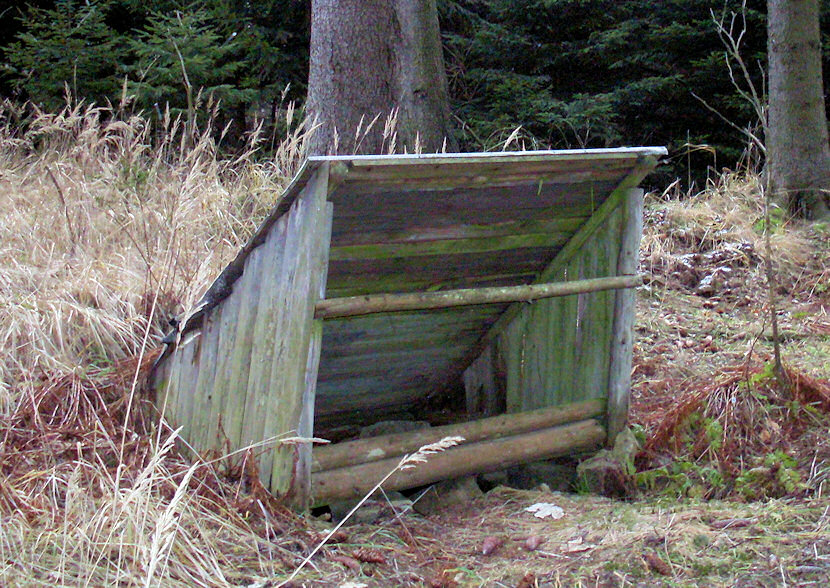 studánka Svatoslav - U Buku (2465) - prosinec 2009